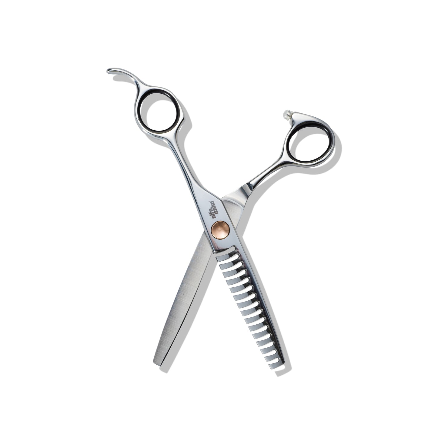 Rosa Evoluzione Scissor