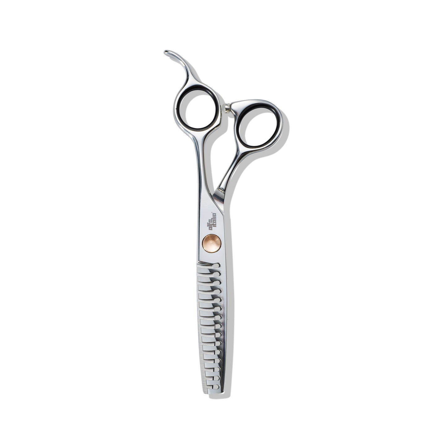 Rosa Evoluzione Scissor